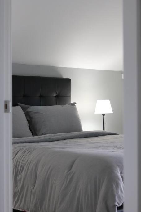 Unique Modern Luxury 2 Bedroom Apartment Rental Chapleau Eksteriør bilde